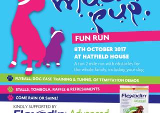 Mucky Pup Fun Run at Hatfield House Oct 2017